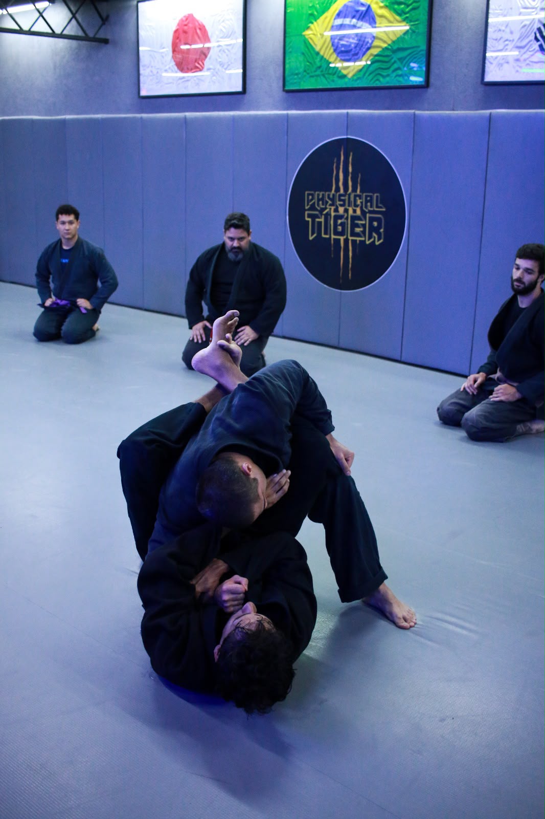 Jiu-Jítsu